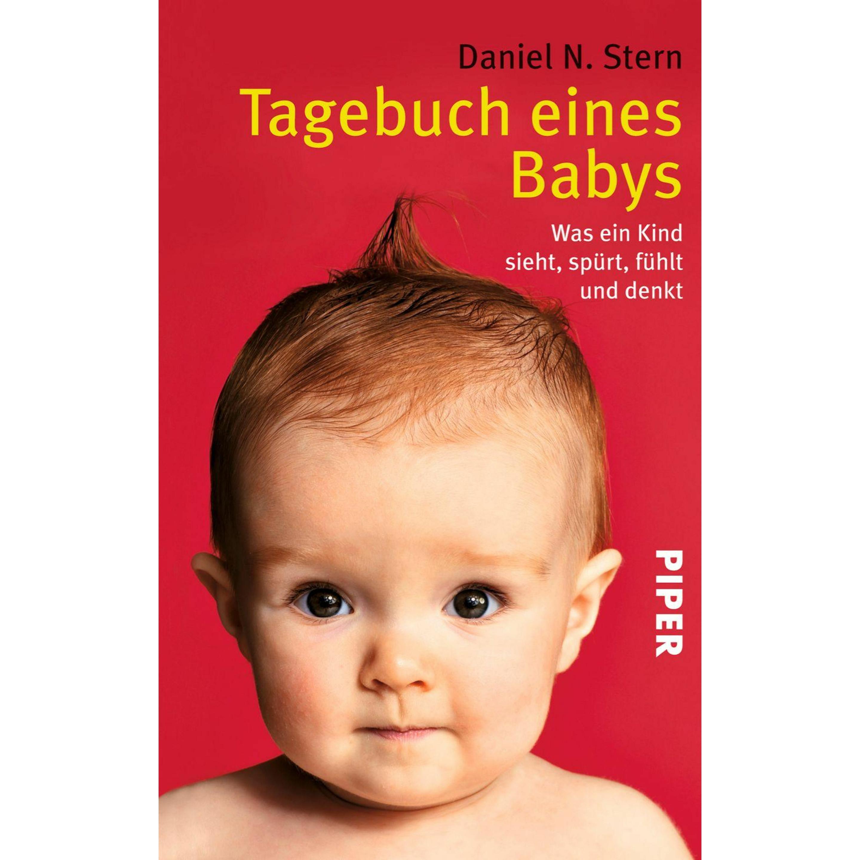 Tagebuch eines Babys, Ratgeber von Daniel Stern