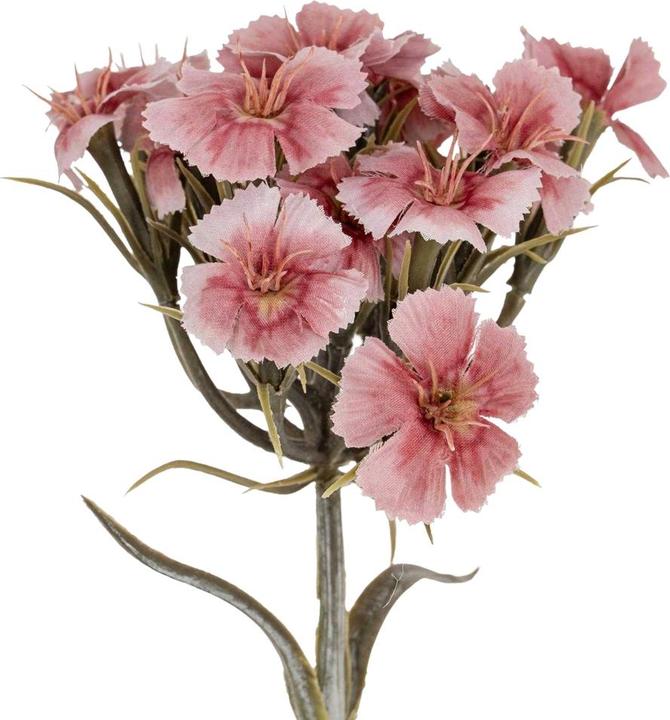 Immagine prodotto Hill Interiors Dianthus Fiore Artificiale Spray (55 cm)