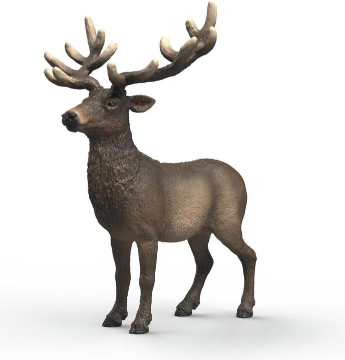 Image du produit Schleich Amerikanischer Rothirsch