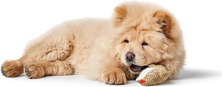 Immagine prodotto Hunter Gioco per cani Barry Mouse, 20 cm, beige (Gioco da masticare per cani)