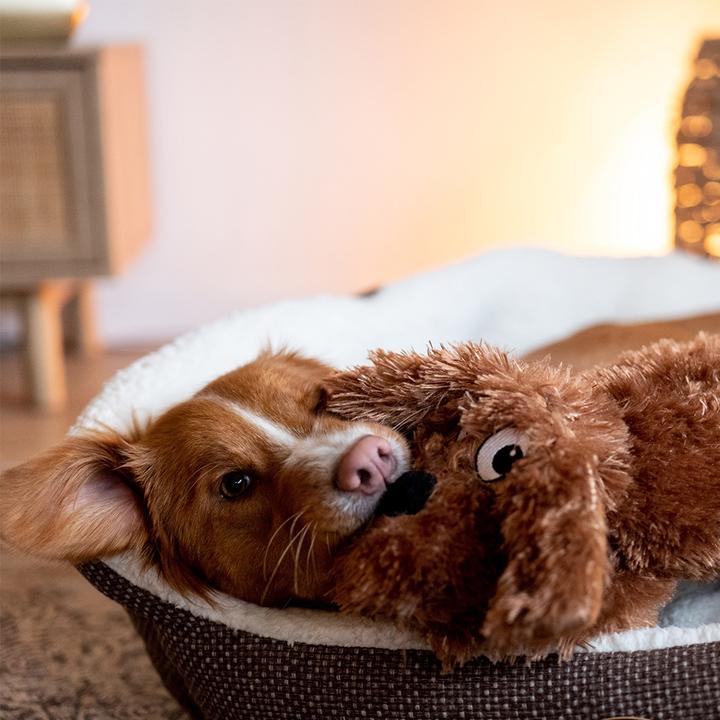 Immagine prodotto Nobby Cane di peluche Schlappi (Cane di peluche)