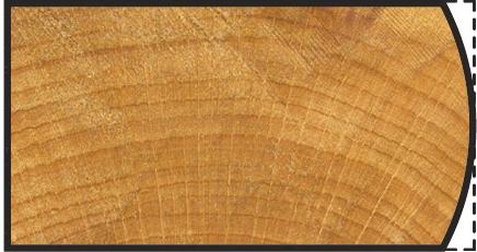 Produktbild wolfcraft 1 Abrundfräser WS ø25x22mm