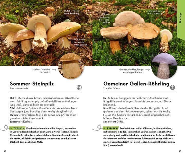 Image du produit Kosmos BASIC Champignons