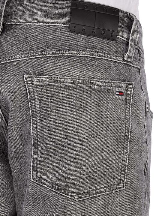 Image du produit Tommy Jeans Ronnie Shorts (36)