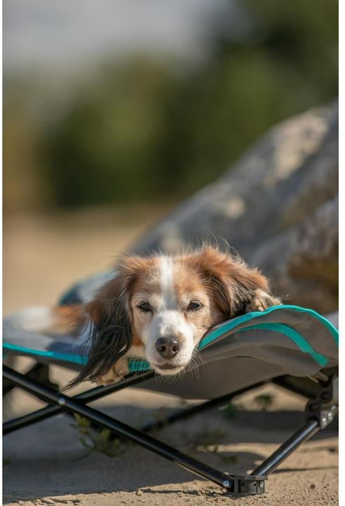 Actual product image Trixie Camping bed (Dog)