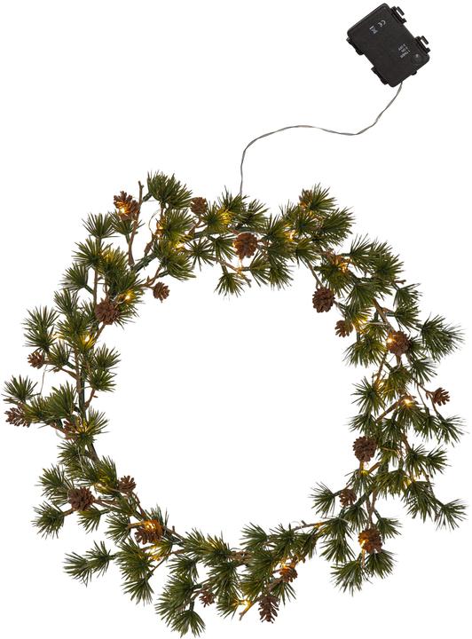 Produktbild Star Trading Larix