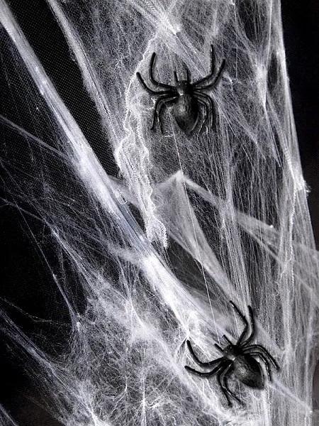 Actual product image Partydeco Spiders (10 pcs.)