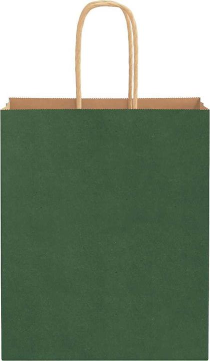 Image du produit VidaXL Sacs en papier kraft 250 pcs. avec anse Vert 18x8x22 cm Sac en papier (Pochette cadeau, 250 x)