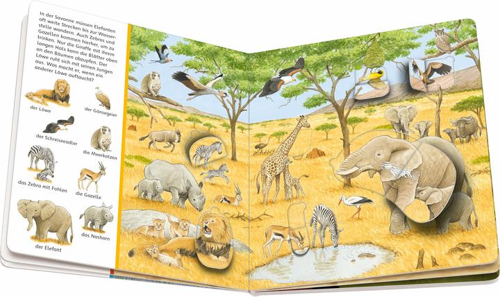 Actual product image Ravensburger My things to look for hidden object book: Animals and their children (German)