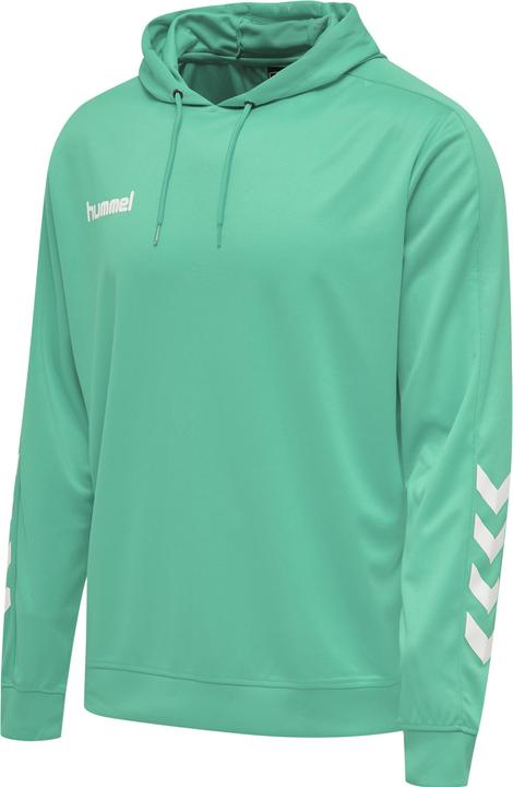 Image du produit hummel Promo Poly Hoodie (3XL)