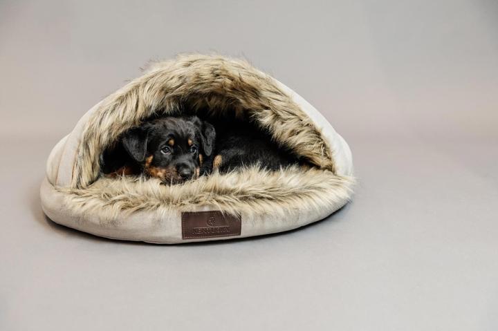 Immagine prodotto Kentucky Dogwear Cane letto Igloo (Cane)