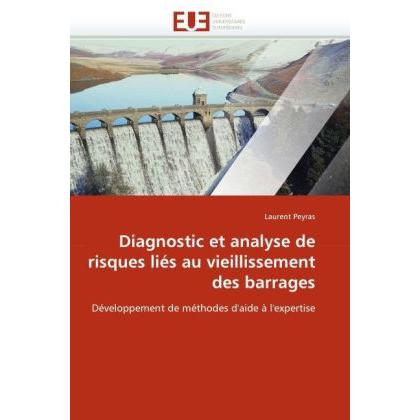 Diagnostic et analyse de risques liés au vieillissement des barrages, Fachbücher