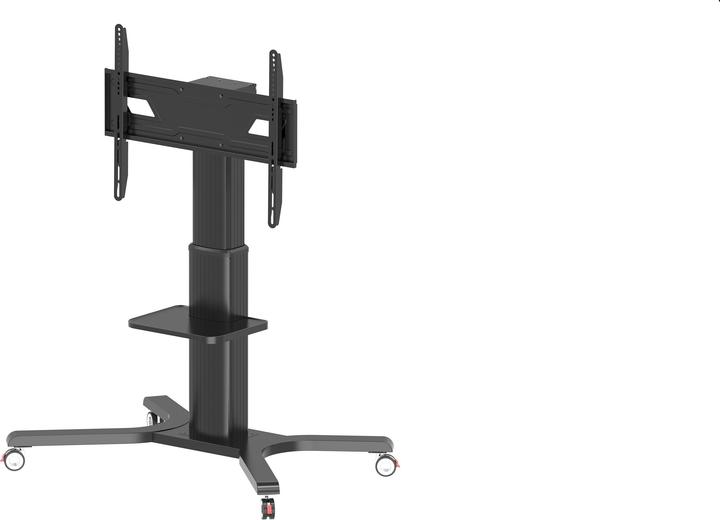 Peerless -AV Paramount PR598-M (98", 130 kg)