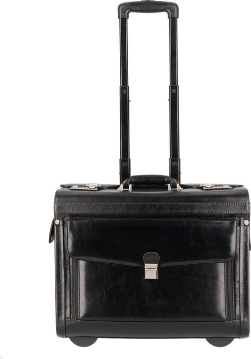 Actual product image Dermata were pilot case 45.5cm from vegatabile full cowhide (37 l)