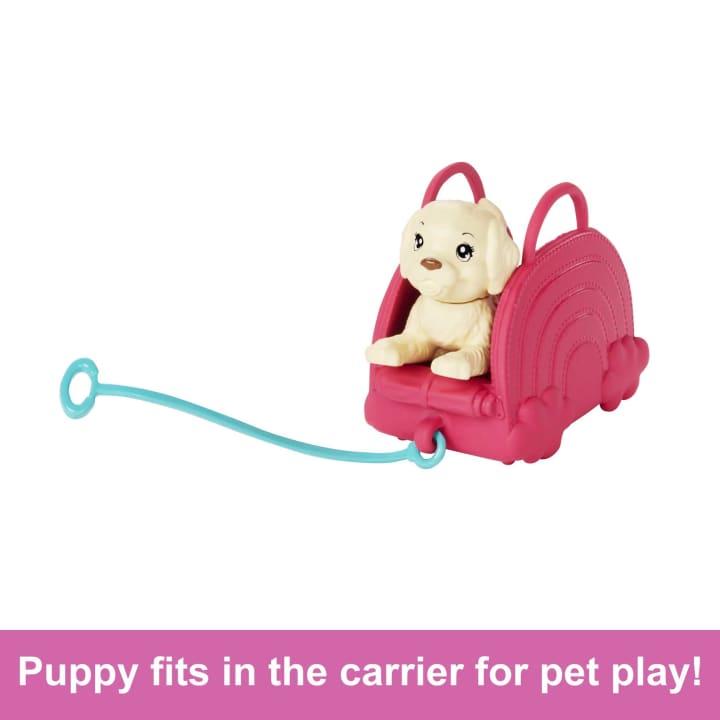 Actual product image Barbie Doll and Accessories