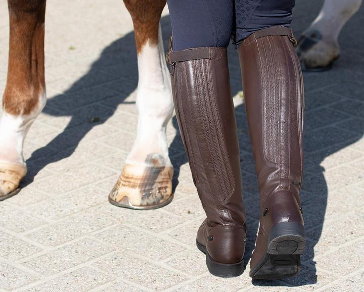 Produktbild Qhp Tamar (37)