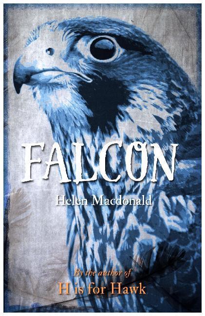 Produktbild Falcon (Englisch, Helen Macdonald, 2016)