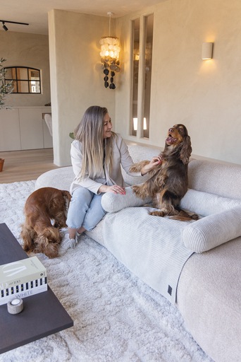 Productafbeelding Designed by Lotte Bankkussen Geribd (Hond)
