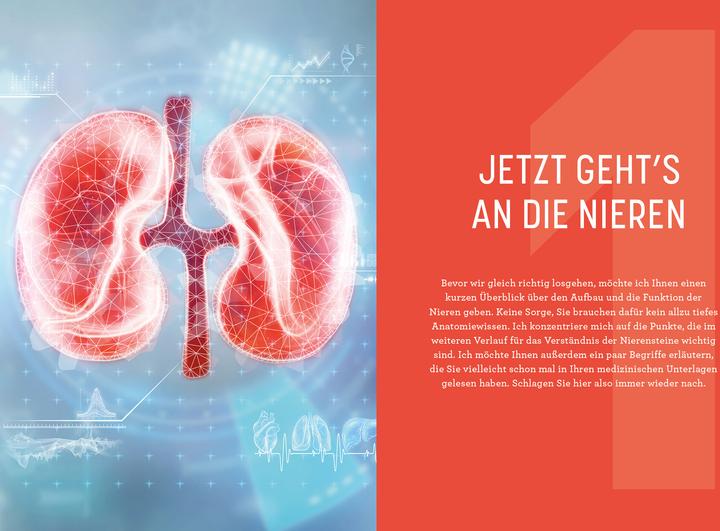 Immagine prodotto Nierensteine – Ursachen erkennen, richtig behandeln, Rückfälle verhindern (Tedesco, Anja Pfau, 2023)