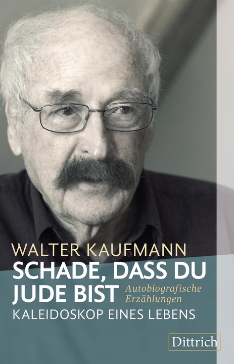 Produktbild Schade, dass du Jude bist (Deutsch, Walter Kaufmann, 2017)