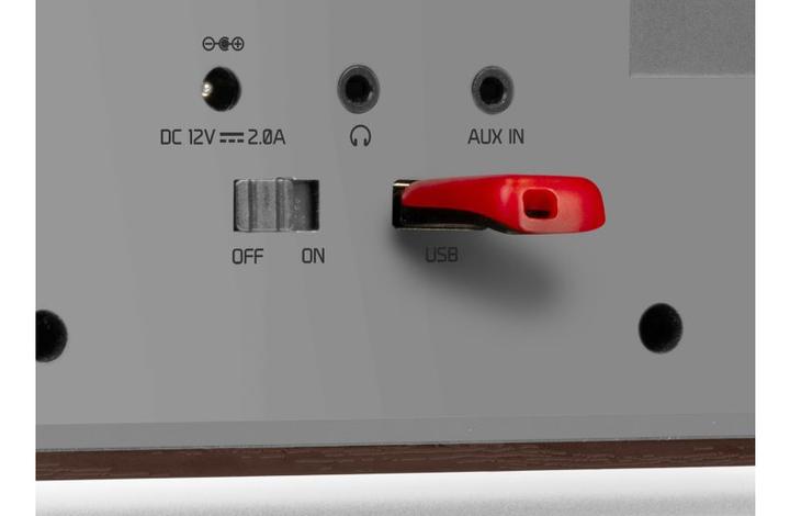 Image du produit Audizio Radio Internet (Webradio, DAB+ DAB, FM, Bluetooth, WiFi)