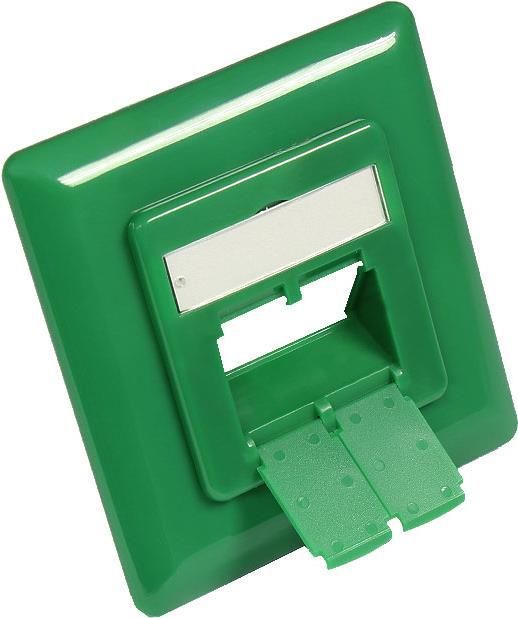 Actual product image Good Connections Center piece 50x50mm incl. cover frame 80x80mm for network sockets, signal green RAL6032