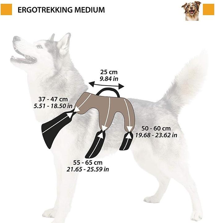 Immagine prodotto Ferplast Imbracatura per cani Ergotrekking (M, Cane, Generale, Passeggiare)