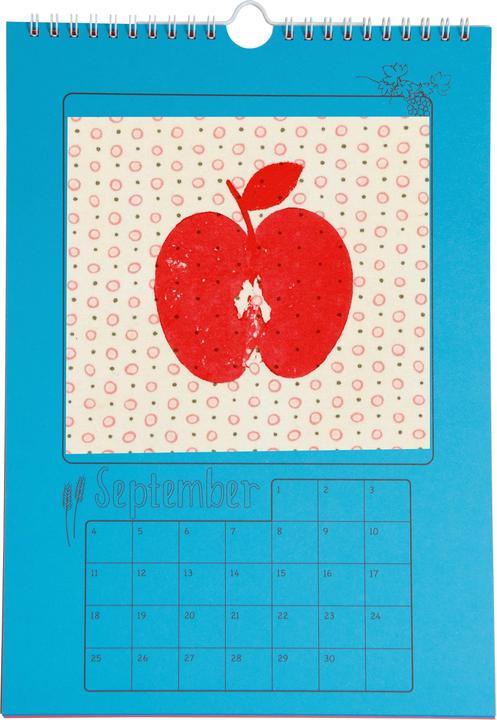 Immagine prodotto Betzold Bunte Bastelkalender, 5 Stück (A4)