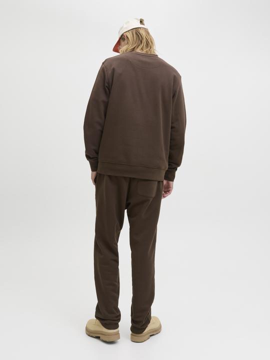 Actual product image Jack & Jones Regular Fit Relaxed Fit Hosen Relaxed Fit Hosen (XXL)