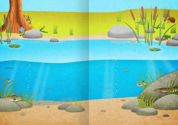 Actual product image Sticker My NATURE sticker book