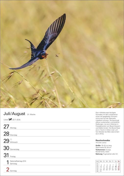 Produktbild Harenberg Heimische Tiere Wochenplaner 2026 - 53 faszinierende Fotografien