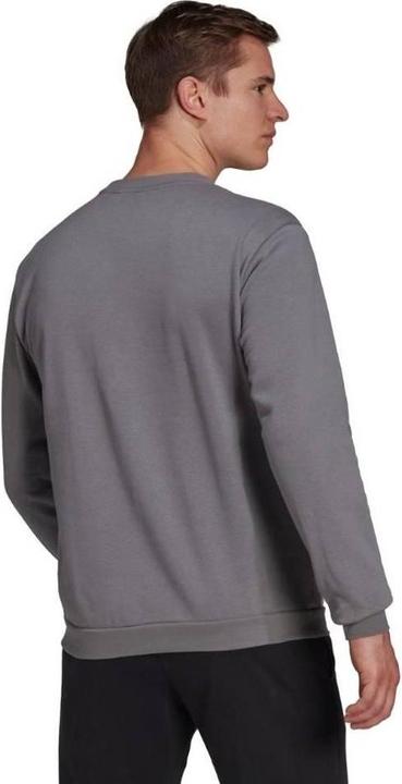 Produktbild Adidas Entrada 22 Sweatshirt (L)