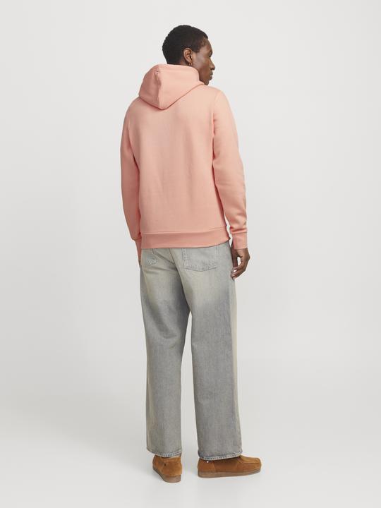 Produktbild Jack & Jones Logo Kapuzenpullover Kapuzenpullover (S)