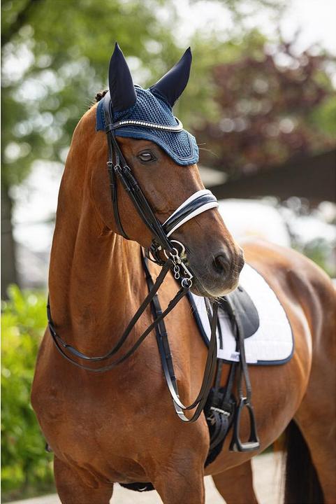 Produktbild Anky Reiterzubehör