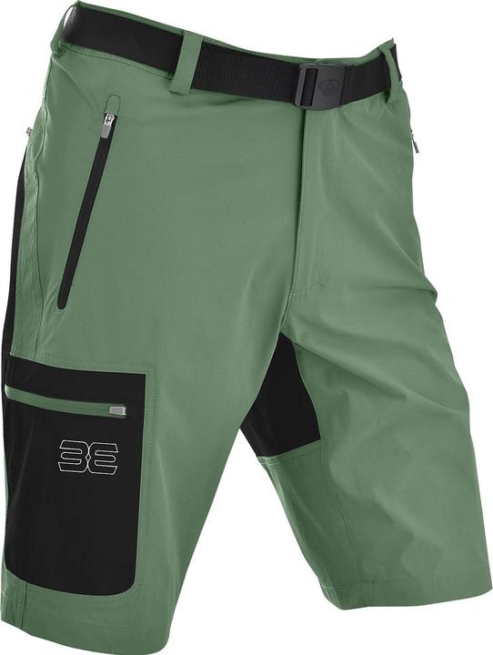 Feuille vert