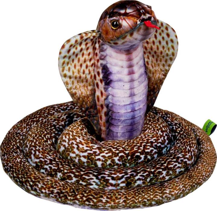 Kobra Natuur Zoomen Wild