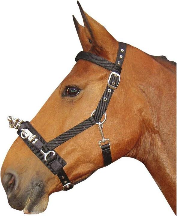 Immagine prodotto Harry's Horse Cavezzone