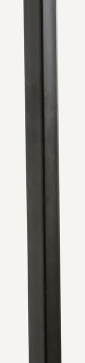 Actual product image AM.PM Archivita XL