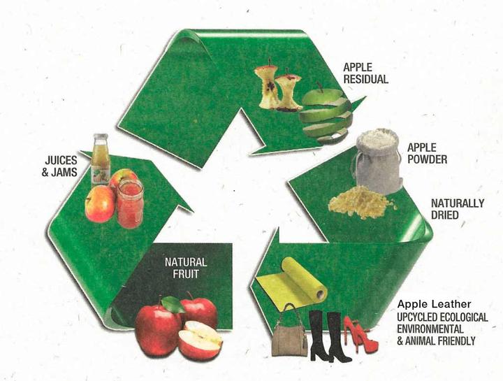 Image du produit Tru Virtu Portefeuille Click & Slide Vegan Bio Apple noix/argent