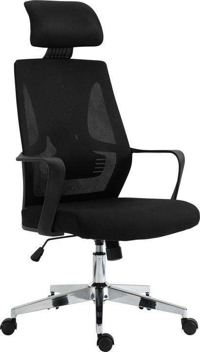 CLP Kanab (46 - 56 cm)