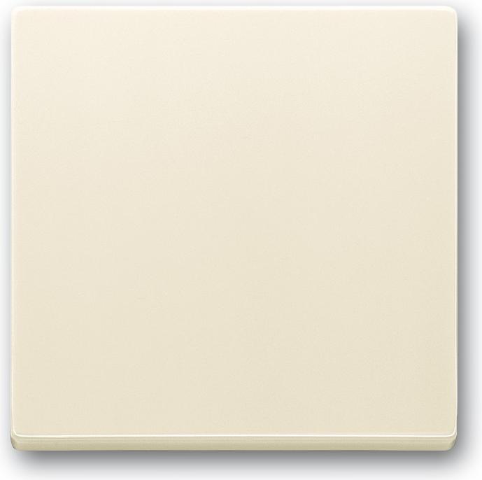 Blanc, Ivoire