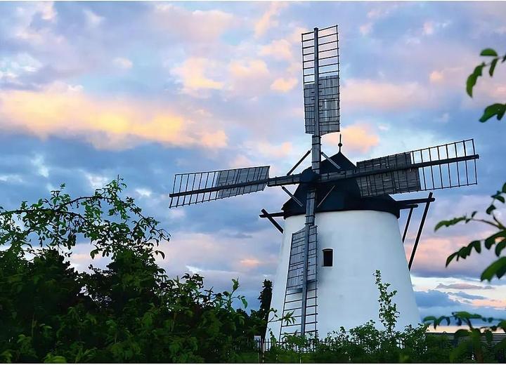 Actual product image Ravensburger Puzzle 12000597 - Windmill near Retz - 1000 pieces jigsaw puzzle for adults and children from (1000 pieces)