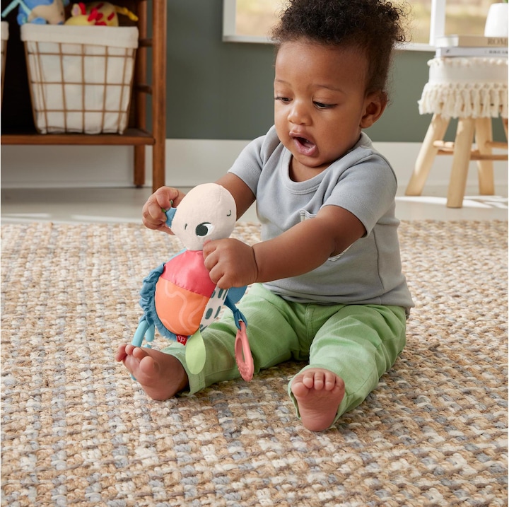 Immagine prodotto Fisher-Price Giocattolo da carrozzina Planet Friends Fleet Turtle con dettagli sensoriali per neonati