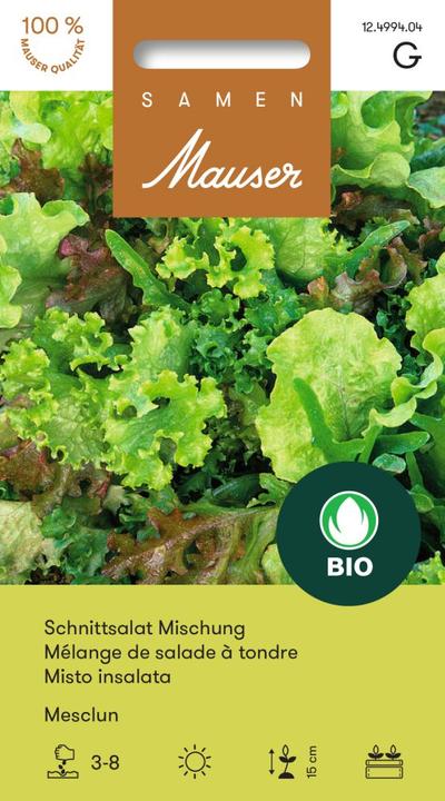 Produktbild Samen Mauser Schnittsalat Mischung Mesclun (Gemüsesamen)