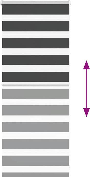 Produktbild vidaXL Zebra-Jalousie (65 x 100 cm)