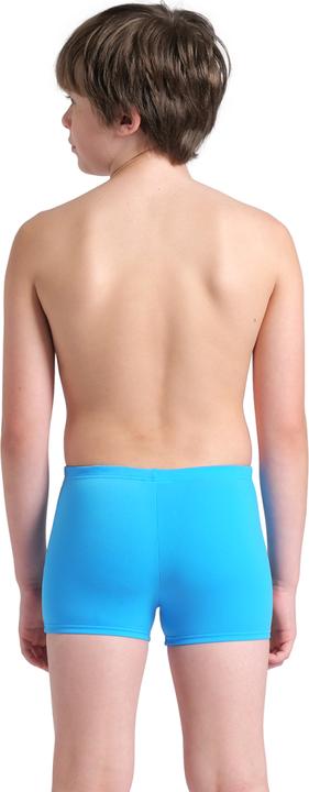 Actual product image Arena B Losange Graphic Swim Short (164)