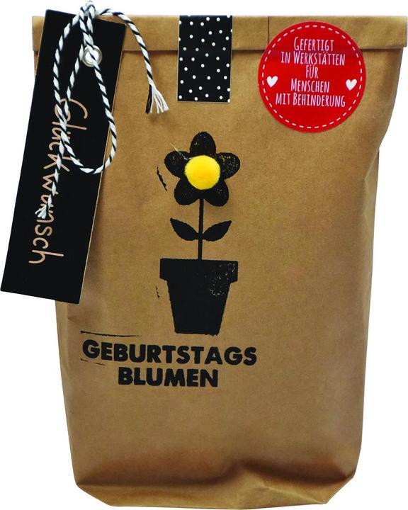 Produktbild Wunderle Wundertüte "Geburtstagsblumen" 14x22 cm (1x)