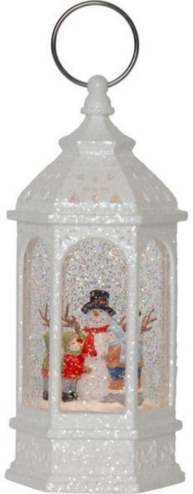 Image du produit Star Trading Vinter