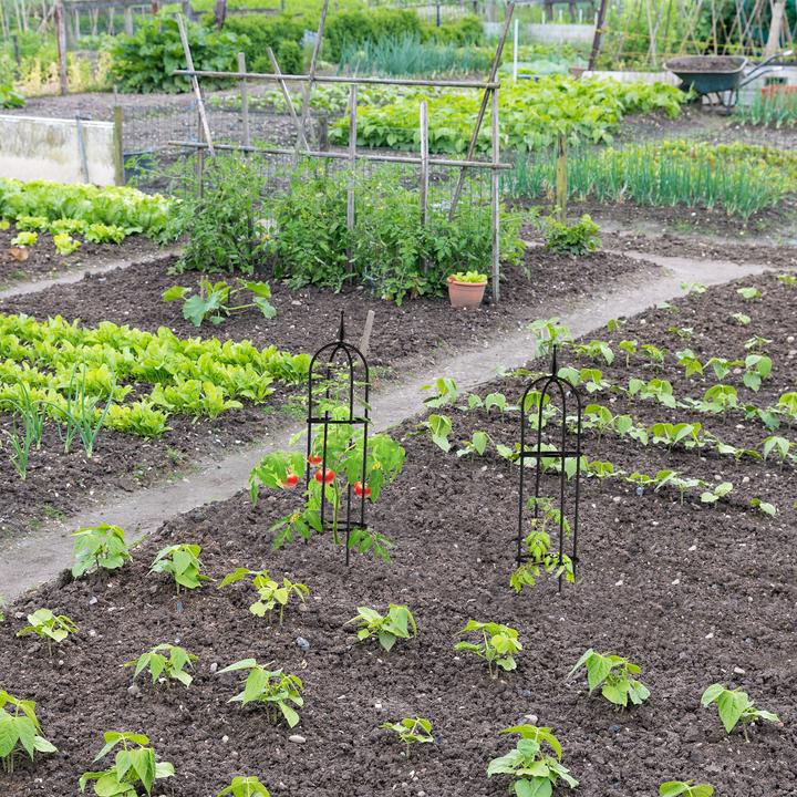 Actual product image Relaxdays Climbing aid (25 cm, 25 cm)