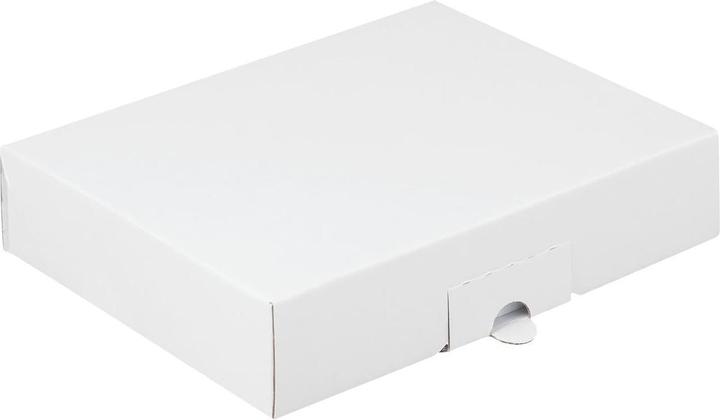 Immagine prodotto Brieger Scatola con cerniera (220 x 155 x 45 mm, 1 x)